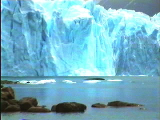 calafate_perito_moreno.jpg (19931 bytes)