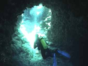 Homes Reef, Dive Spot Abyss