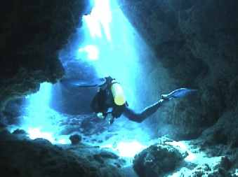 Homes Reef, Dive Spot Amazing with my Buddy Chris