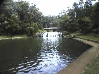 malanda_falls2_small.jpg (11165 Byte)