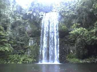 millaa_millaa_falls2_small.jpg (11966 Byte)