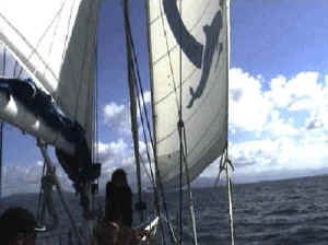 Oceanfree from Green Island to Cairns