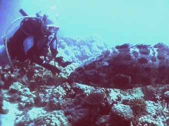 Roland and a big Patatoe Cod