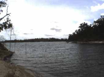 tinaroo_lake1_small.jpg (7468 Byte)