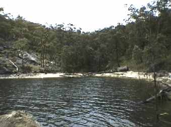 tinaroo_lake_small.jpg (11934 Byte)