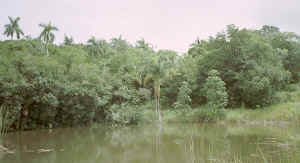 cuba_film1_34.jpg (254985 Byte)