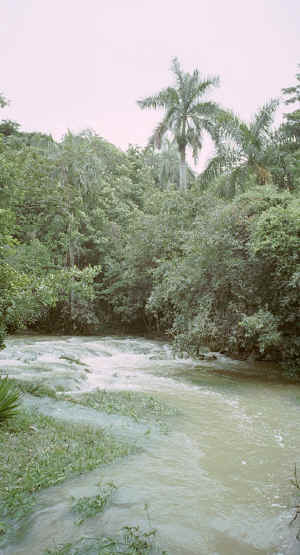 cuba_film1_36.jpg (275763 Byte)