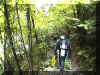 Waldweg zur Verzasca