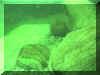 verzasca_tauchen_in Flussbett18.jpg (20044 Byte)