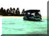 fesdu_dhoni.jpg (20410 bytes)