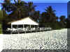 fesdu_strandbar.jpg (33901 bytes)