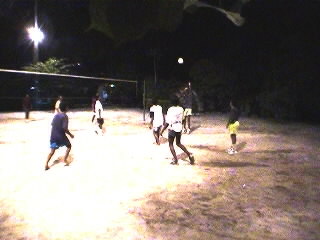 volleyball.jpg (16928 bytes)