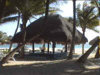 las_palapas_beachbar.jpg (226296 Byte)