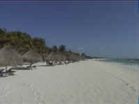 las_palapas_strand.jpg (152021 Byte)