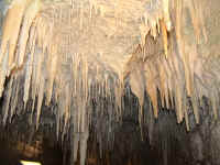 DSC01052-1.JPG (821595 Byte)