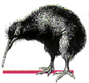 kiwi.gif (5607 Byte)