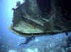 salem-express_luke2.jpg (56018 Byte)