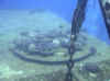 salem-express_schild_salem.jpg (37764 Byte)
