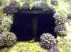 salem-express_schott2.jpg (59598 Byte)