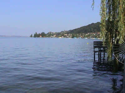 berlingen_wildsau_tauchplatz1.jpg (153968 Byte)