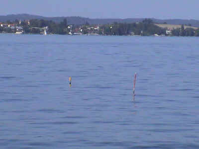 berlingen_wildsau_tauchplatz.jpg (136476 Byte)