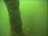 silsersee_halbinsel_2001_baumstamm 2.jpg (24059 Byte)