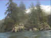 silsersee_halbinsel_2001_insel.jpg (42771 Byte)