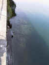 zug_grafstatt.jpg (187956 Byte)